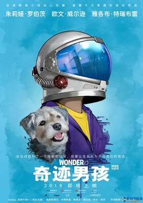 《生命的奇迹》的观后感大全