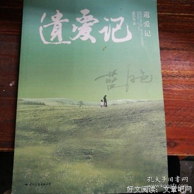 遗爱记读后感精选