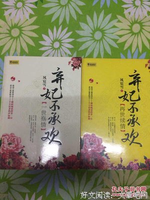 弃妃不承欢·一世殇情读后感锦集