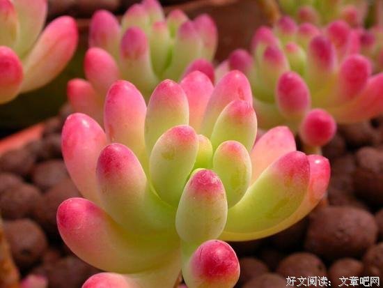 有时间充实自己的精神生活，才是真的悠闲 