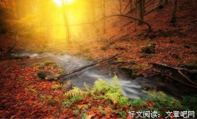 关于行云流水的唯美语录