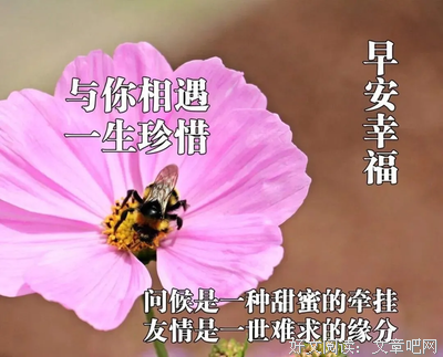 关于不可一世的唯美语录