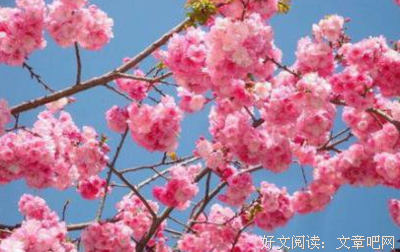 描写嬉笑怒骂的语句摘抄