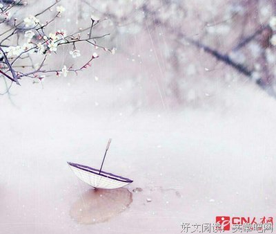 有关摇摇欲坠的美句摘抄
