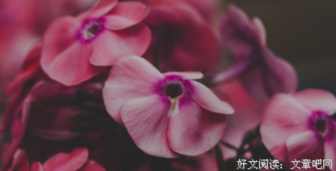 说抖音