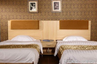 《双层公寓：夏威夷》观后感摘抄