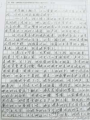 《我的收藏》的句子