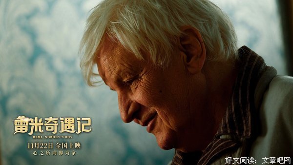 《雷米奇遇记》观后感摘抄