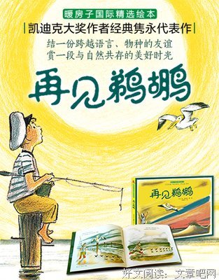 《鹈鹕的故事》观后感精选