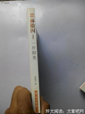 《林徽因 做一个有才情的女子》读后感精选