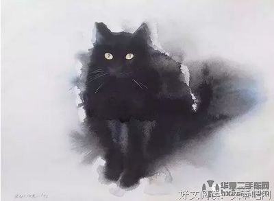 《走出自我认知的黑箱》读后感锦集