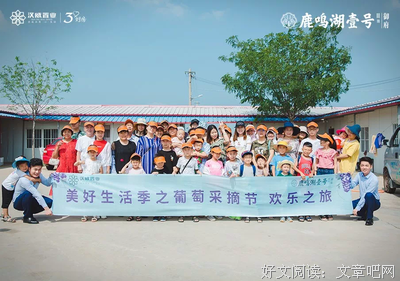 葡萄光年读后感摘抄