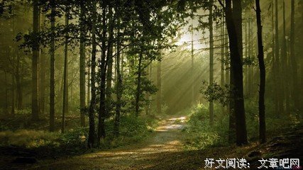 关于急功近利的名句摘抄