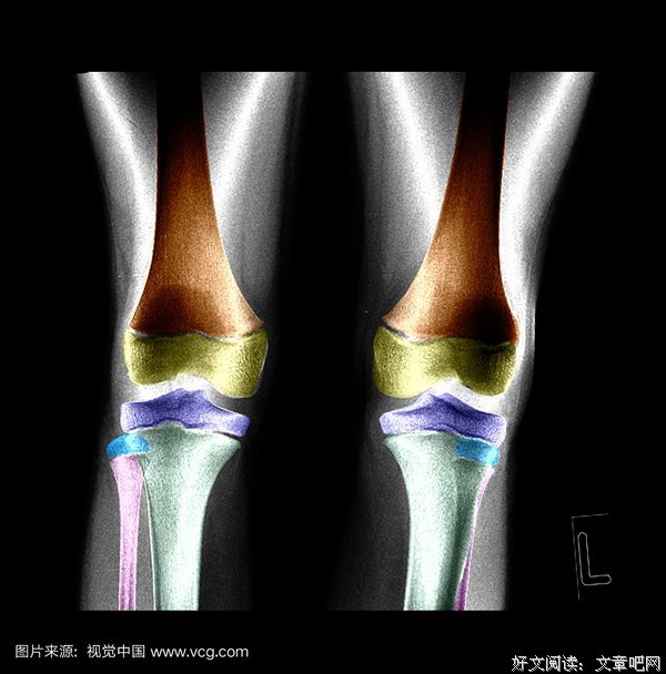 形而上的名言_关于形而上的名言