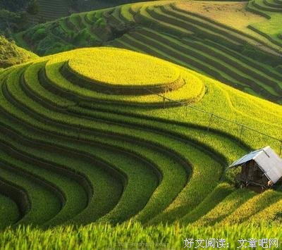 最经典的东野先生的信箱名人名言