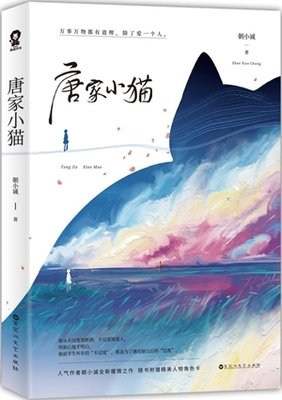 朝小诚经典名句