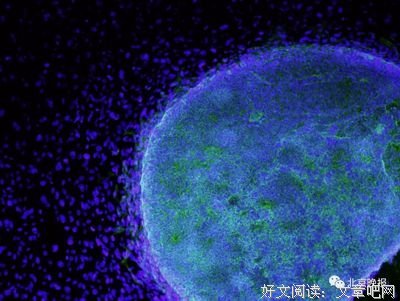 “女子在法院门口被老公拖行暴打”：姑娘，人渣不应该多留