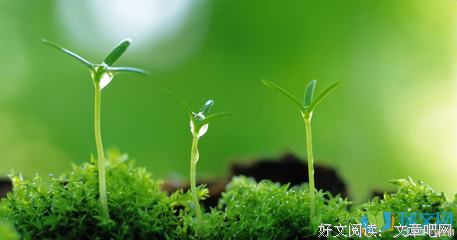 关于菀花的优美句子
