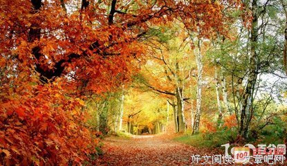 关于为你负这也个在地就下的优美句子