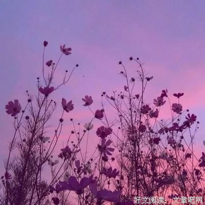 《走火》影评摘抄