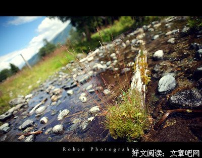 风起陇西读后感锦集