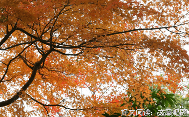 描写依依不舍的经典句子