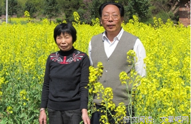 关于不谙世事的格言