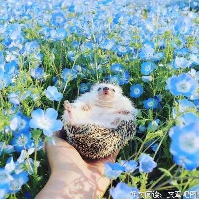 关于开怀大笑的语句