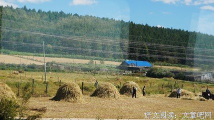 最全的《绿皮书》经典名句