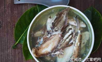最经典的《杂鱼求生〔穿书〕》经典语录