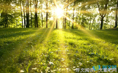 关于阳光的句子