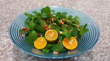 《薄荷》经典观后感有感