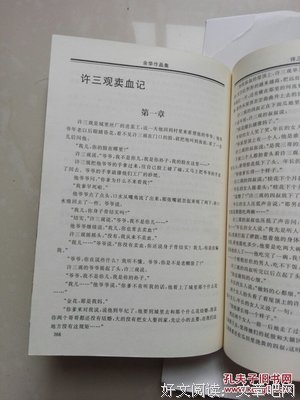 《许三观卖血记》读后感摘抄