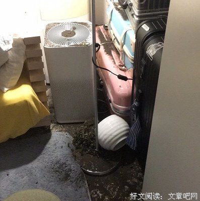 下辈子做猫吧读后感摘抄