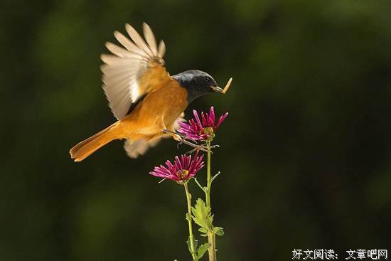 人为什么要早起？答案让人吃惊……