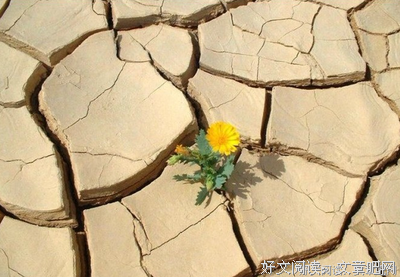 物欲横流的名言_关于物欲横流的名言