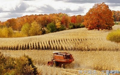 关于色彩斑斓的语句