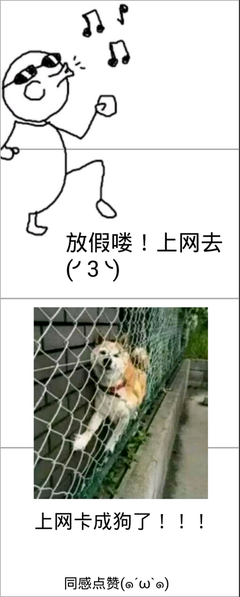 关于差强人意的名言