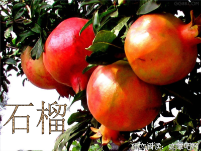 有关年少有你的句子