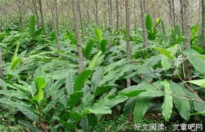 关于乐善好施的名句摘抄