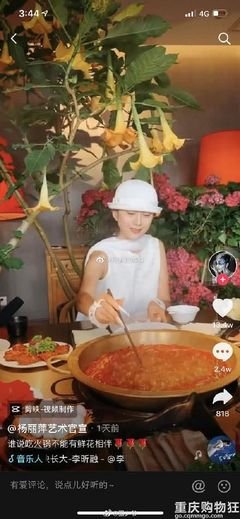 杨丽萍突遭网暴，嫁豪门7年不肯生孩子错了吗？
