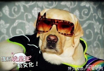 《这些上他，不敢对你说》的句子