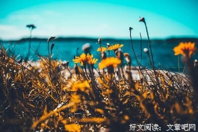 余生一起做，饭和爱