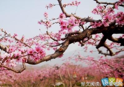 道每立情缘经典的句子