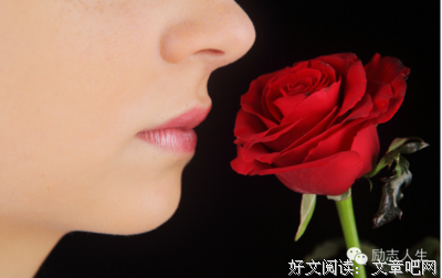 倾家荡产的句子