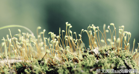 齐心协力的名人名言