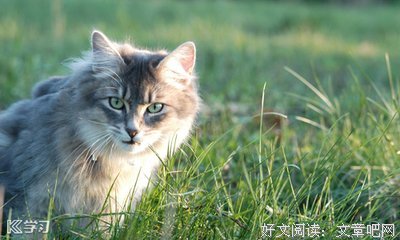 励志经典的句子