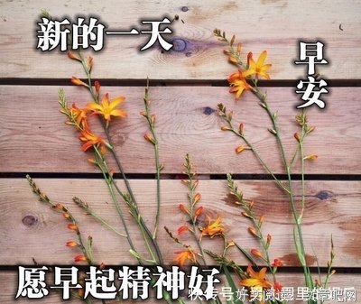 【感悟】向前走，莫回头