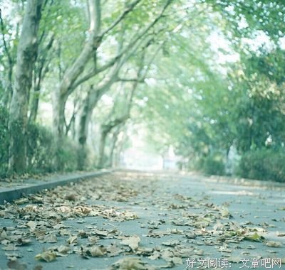 《淡暖》的句子