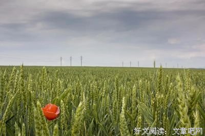 一个有本事的人，身上有这三种特征